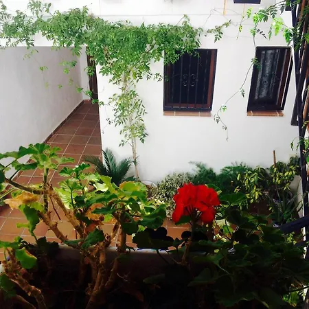 Casa Callejon De Echevarria Apartamento *