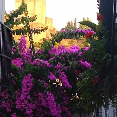 Apartamento Casa Callejon De Echevarria