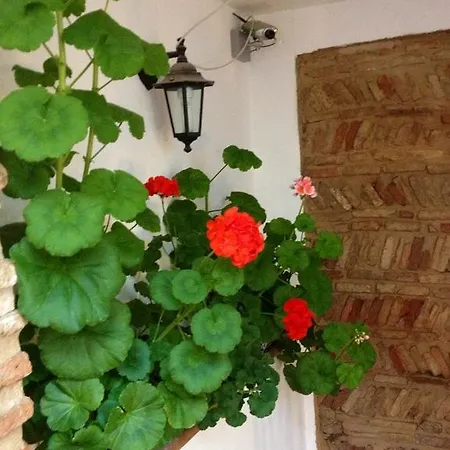 Apartment Casa Callejon De Echevarria